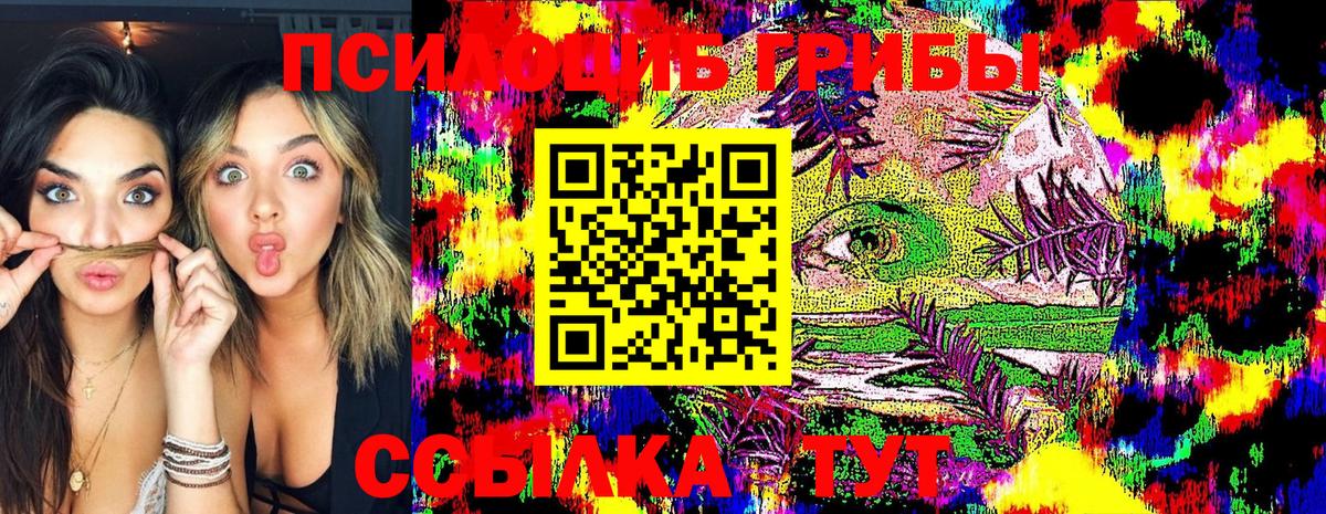 Псилоцибиновые грибы Cubensis  Вход с VPN  Сальск 